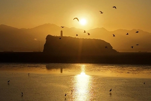 Μεταναστευτικ? πουλι? παρατηρ?θηκαν στη Λ?μνη Πογι?νγκ